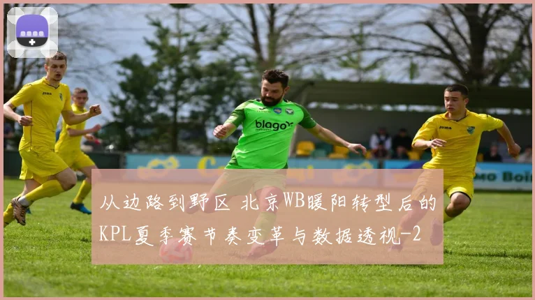 从边路到野区 北京WB暖阳转型后的KPL夏季赛节奏变革与数据透视