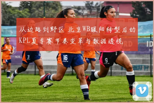 从边路到野区 北京WB暖阳转型后的KPL夏季赛节奏变革与数据透视