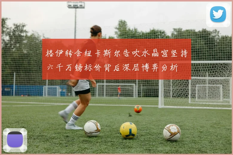 格伊转会纽卡斯尔告吹水晶宫坚持六千万镑标价背后深层博弈分析