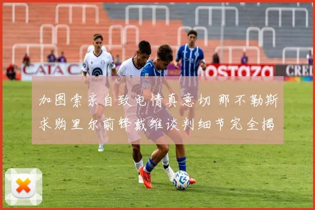 加图索亲自致电情真意切 那不勒斯求购里尔前锋戴维谈判细节完全揭秘
